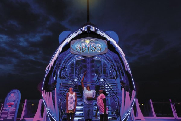 Symphony of the Seas Gallery Image
